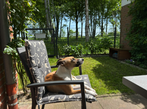 1_Vicki auf der Terrasse_24.05.2026_IMG_1883